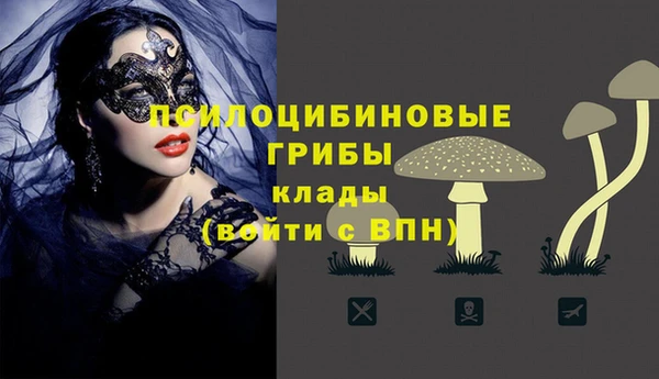 бутират Богородицк