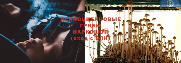 mix Шадринск