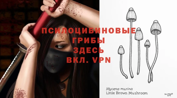 соль курить ск Богданович