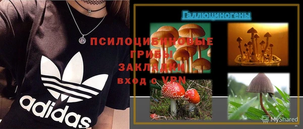 ПСИЛОЦИБИНОВЫЕ ГРИБЫ Шали